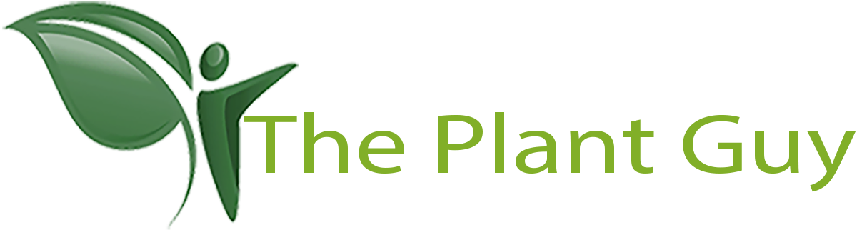 The Plant Guy, Logo