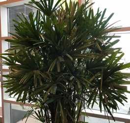 Plant installation and Plant Maintenance
