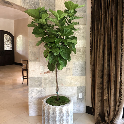 Home Art Plant (2)
