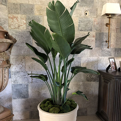 Home Art Plant (4)