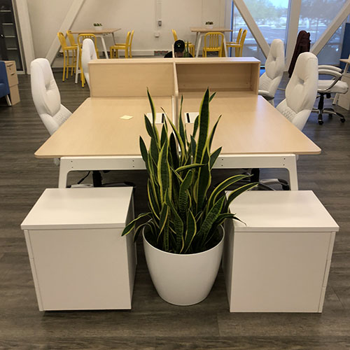 Corporate Art (2)
