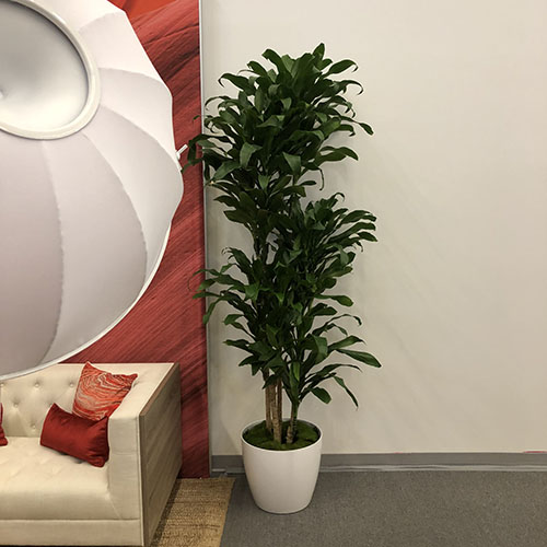 Corporate Art (3)